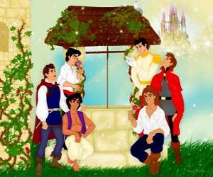 Puzzle Disney Princes